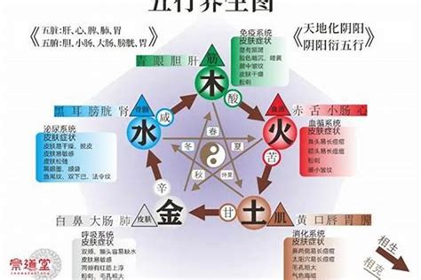 五行缺金水怎麼辦